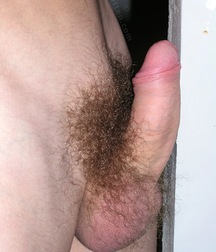 Solomon  5c4fe6531bd1e.jpg