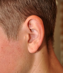 William 5c52621e83be7.jpg