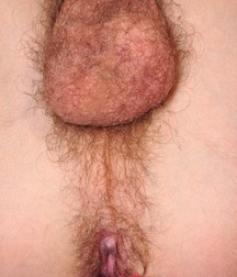 William 5c5262af0a12f.jpg