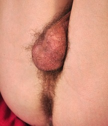 William 5c5262b7477b6.jpg