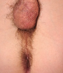 William 5c5262b9092ca.jpg