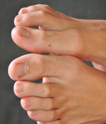 William 5c5262ba86005.jpg