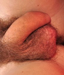 William 5c5262c15f4fe.jpg