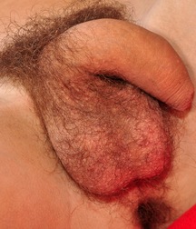 William 5c5262c7bbc6f.jpg