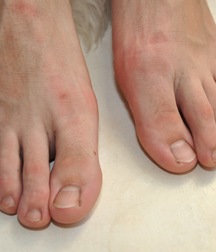 William 2 5c52643681b34.jpg