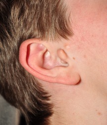 William 2 5c5265400ac2f.jpg