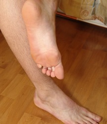 Drake 5c527d2ccc23b.jpg