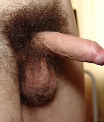 Drake 5c527d8f1d887.jpg