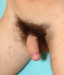 Drake 5c527d93297c2.jpg