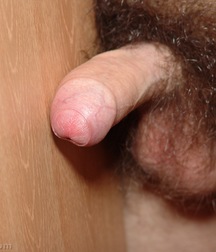 Drake 5c527db3c59be.jpg