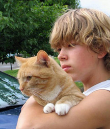 Boys and cats. 5cb68965e76bc.jpg