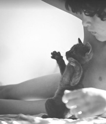 Boys and cats. 5cb6896811030.jpg
