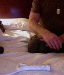 BOOT LICKING 58326f23c77ca.jpg