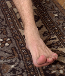 Dorian 57f3a27b16080.jpg