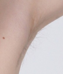 Armpits 5e9ccb42814b3.jpg