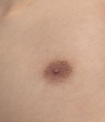Boys hairy chest 599b0eef449d3.jpg