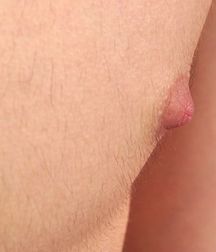 Boys hairy chest 599b0f265de1f.jpg