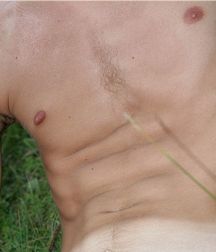 Boys hairy chest 599b0f85ba9b8.jpg