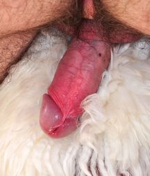 19N Ivo 5c444f60e0cc3.jpg