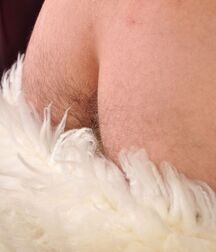 Gay tube Ivo twinks porn 5f0d7382094f3.jpg