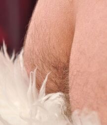 Gay tube Ivo twinks porn 5f0d7385ea1e7.jpg