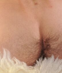 Gay tube Ivo twinks porn 5f0d73a1d58bc.jpg