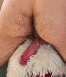 Gay tube Ivo twinks porn 5f0d74aa352cc.jpg