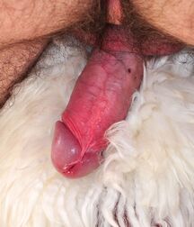 Gay tube Ivo twinks porn 5f0d74addf321.jpg