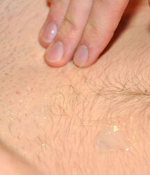 Gay tube Ivo twinks porn 5f0d75cd53038.jpg
