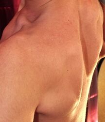 Gay tube Ivo twinks porn 5f0d75e891aaa.jpg