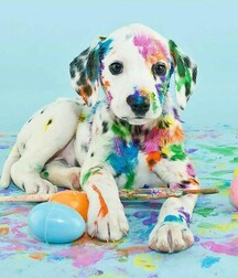Rainbow Boys - Love And Fun 6194e25632ae2.jpg