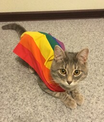 Rainbow Boys - Love And Fun 6194e2b0efcc2.jpg