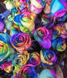 Rainbow Boys - Love And Fun 6194e3c53fa07.jpg