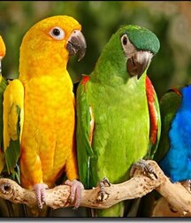 Rainbow Boys - Love And Fun 6194e3df03e2a.jpg