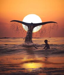 Boys Art Photography - Color Mix 61cfae1628bdc.jpg