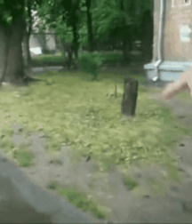 Boys Public Nudity Caught Gay Porn 623778b2daadc.gif