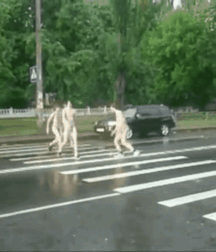 Boys Public Nudity Caught Gay Porn 6237790501f01.gif