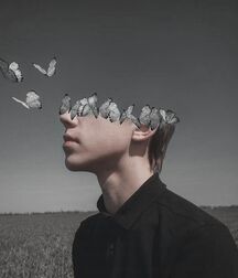 Boys Art Photography - Mixed Collection Twink Tube 627956160d93f.jpg