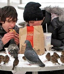 Boys Art Photography - Mixed Collection Twink Tube 62795769def54.jpg