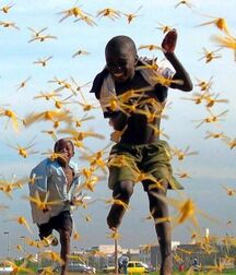 Boys Art Photography - Mixed Collection Twink Tube 6279576debc94.jpg