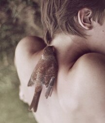 Boys Art Photography - Mixed Collection Twink Tube 6279595ad8b0c.jpg