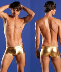 Boys Big Bulge Box - Hung Twinks 628274d530bf9.jpg