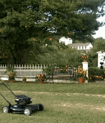 Funny Boys Funny Toys - Twinks Big Fun Mix 6294f0a155c28.gif