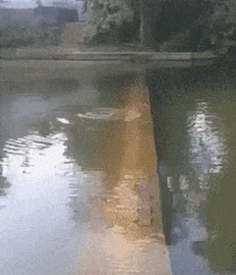 Funny Boys Funny Toys - Twinks Big Fun Mix 6294f0fe9b35d.gif