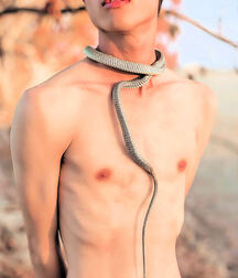 Caution, Snakes! - Twink Models Art Photography (No Porn) 62c5e84d5a7a9.jpg