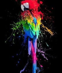 Colours Of The Twinks - Funny Boys Crazy Colour Show 62cf2af334222.jpg