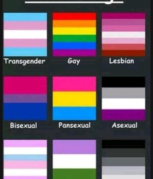 Colours Of The Twinks - Funny Boys Crazy Colour Show 62cf2b59aa11c.jpg