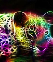 Colours Of The Twinks - Funny Boys Crazy Colour Show 62cf2c9086da2.jpg
