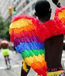 Colours Of The Twinks - Funny Boys Crazy Colour Show 62cf2cc009675.jpg