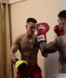 gutpunch twink tube fight 626f4d033f8f7.gif